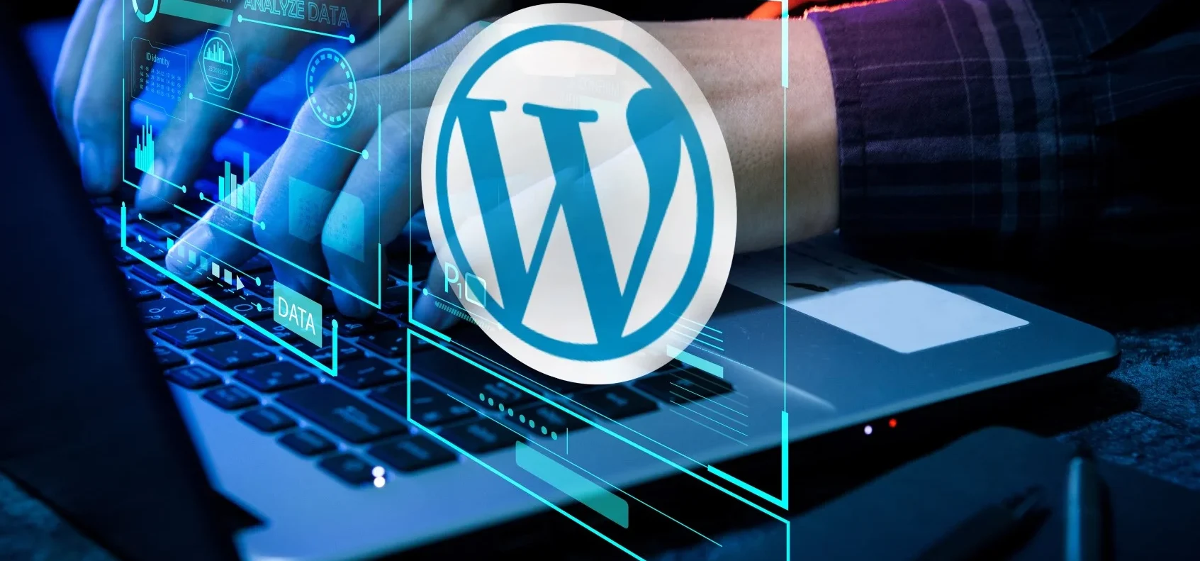 Reasons to Use WordPress